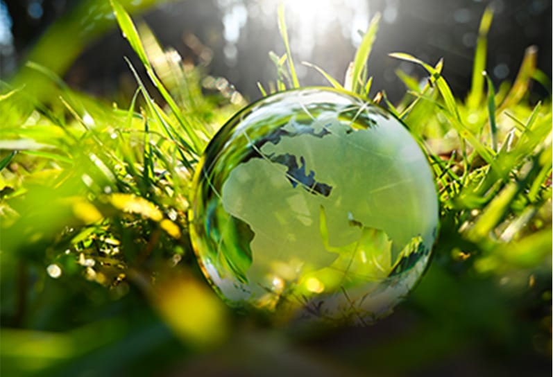 社会価値 SUSTAINABILITY 