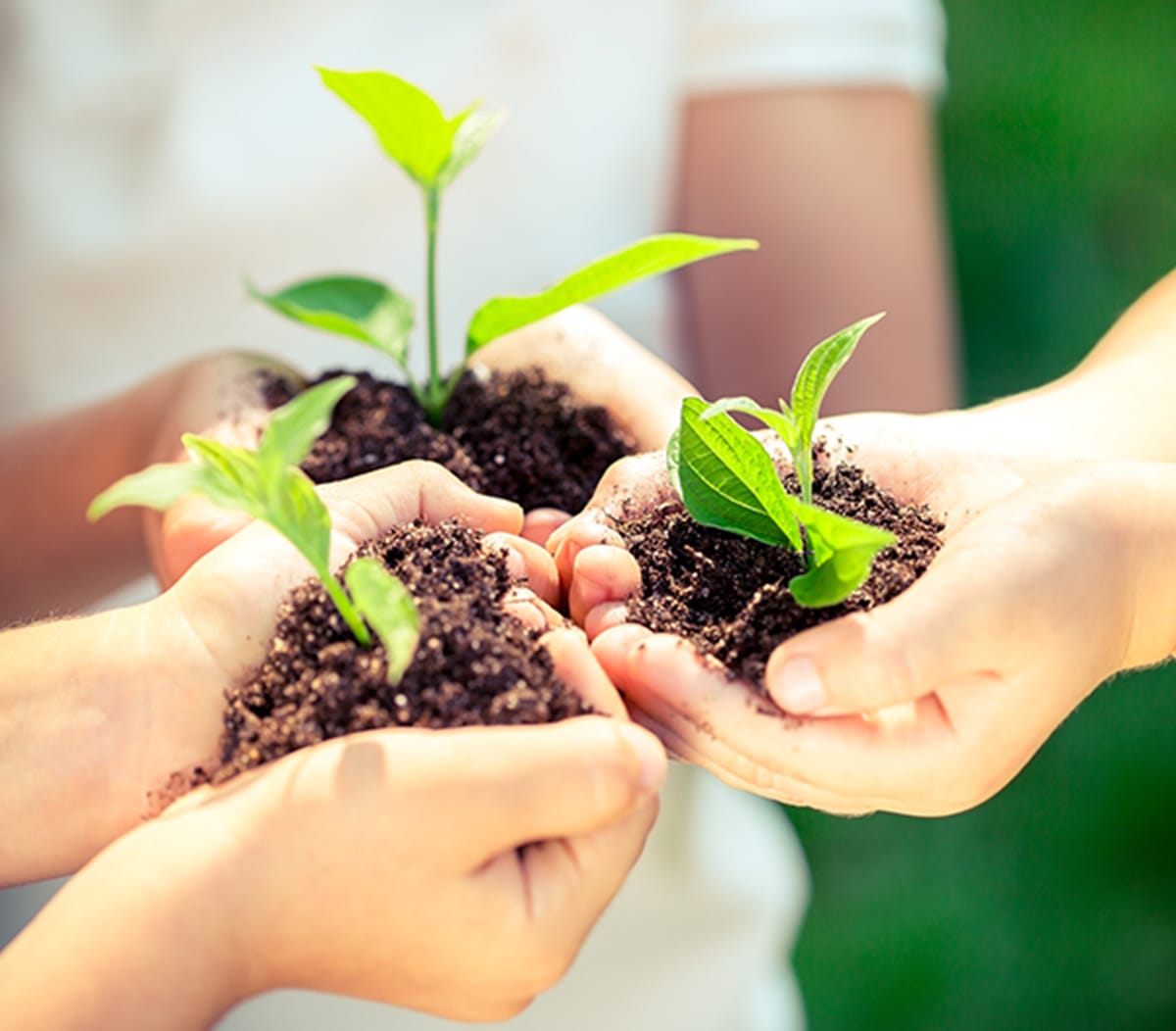 sustainable Development goals